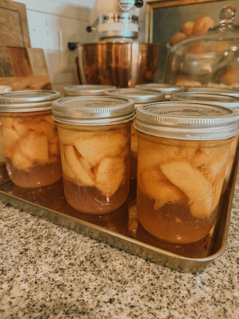 How To Can Peaches for Beginners| Preserving Summer